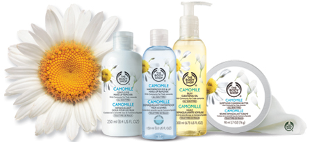 Camomile Camomile