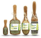 Hair Brush Hair Brush
