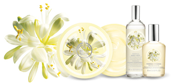 Moringa Moringa