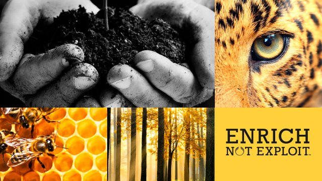 steps towards a truly sustainable business