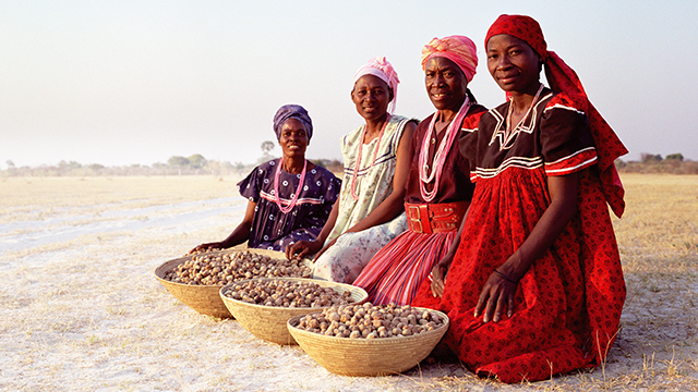 steps towards a truly sustainable business