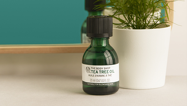 THE BENEFITS OF TEA TREE OIL